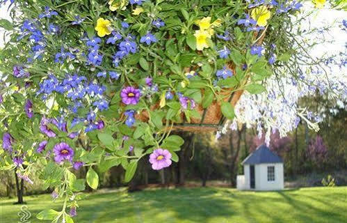 Chestnut Hill Bed & Breakfast Orange ภายนอก รูปภาพ